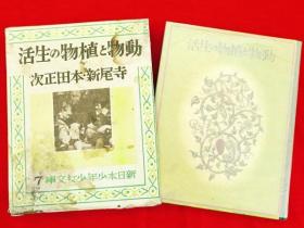 新日本少年少女文库　第1－79－1416卷　14册[KHBZ]