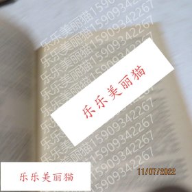 Victor Bektov Ivan维克托·贝克托夫·伊万 俄语书