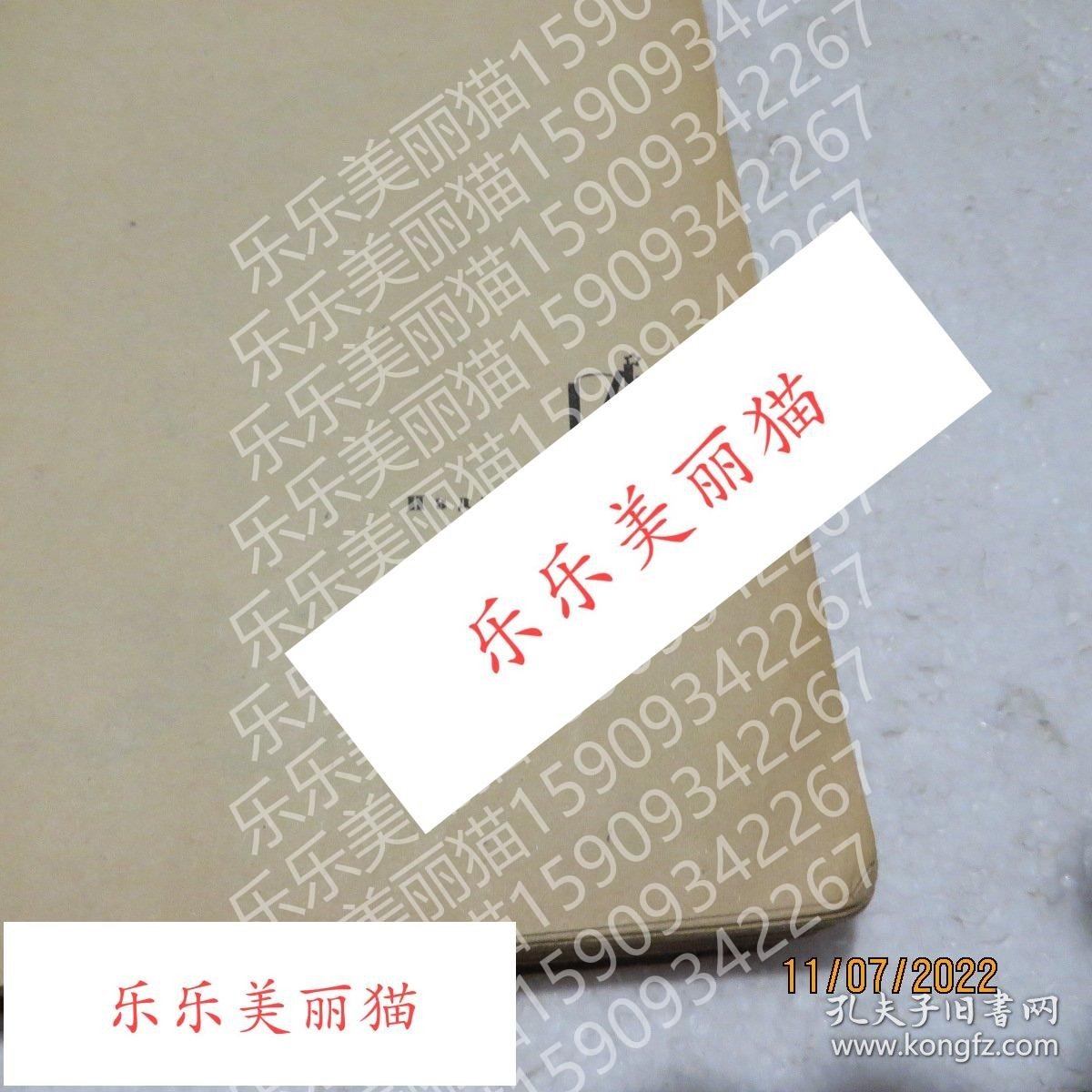 Victor Bektov Ivan维克托·贝克托夫·伊万 俄语书