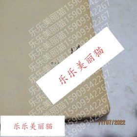 Victor Bektov Ivan维克托·贝克托夫·伊万 俄语书