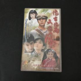 三十集大型电视连续剧; 像雾像雨又像风（20碟装 DVD）