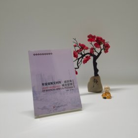 布宜诺斯艾利斯·波兹南城市管理