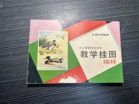 教学挂图缩样（初中动物学） 低价 有水渍 Z4