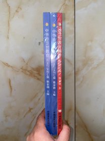 3册合售 中华德慧智教育方法与实例汇编2册 德慧智教育辅导答疑汇编1册  没有写画