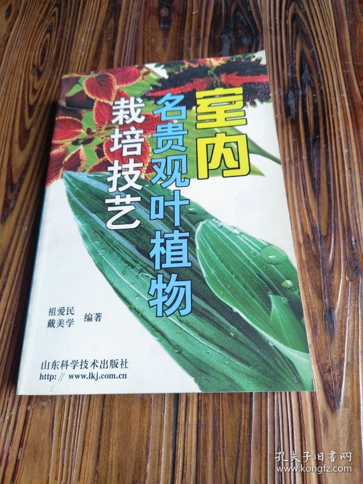 室内名贵观叶植物栽培技艺