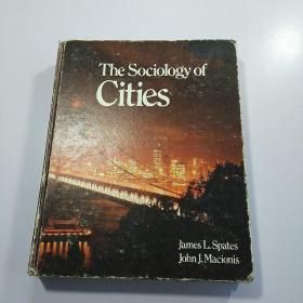 The Sociology of Cities