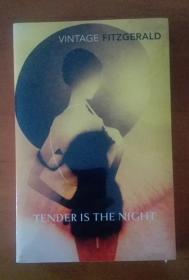 Tender is the Night  英文原版