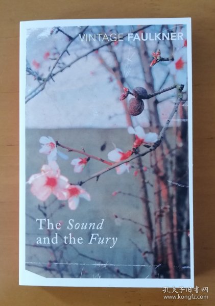 The Sound and the Fury (Vintage Classics)