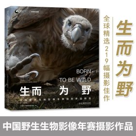 生而为野全球精选219幅摄影佳作自然艺术摄影画册看见生态美景野性收获全球生态美景感悟生命的力量拓展人类对世界的认知展现地球