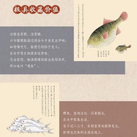 海错图译注全3册科普读物海洋生物海洋博物馆白话文中国古代奇幻绘本聂璜与山海经齐名揭秘对海洋的幻想开启探索神秘未知的海域