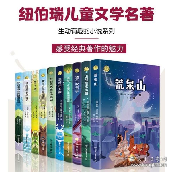 纽伯瑞儿童文学奖文库——黑暗护卫舰