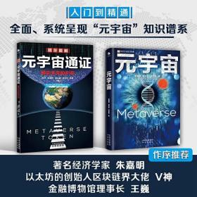 元宇宙＋元宇宙通证全2册全面系统呈现知识谱系移动互联网继承新形态构建原理运行模式商业价值产业结构未来发展打造新型智慧城市