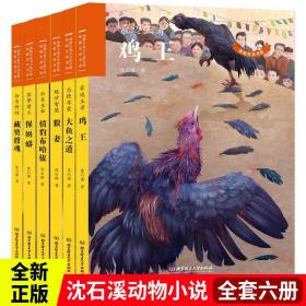 沈石溪动物文学全六册丛林法则致敬生命母爱大自然智慧情谊野性