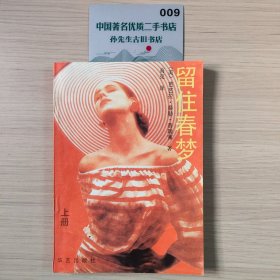 留住春梦（上册）