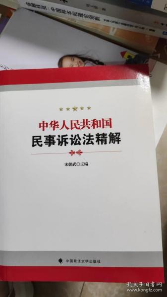 中华人民共和国民事诉讼法精解