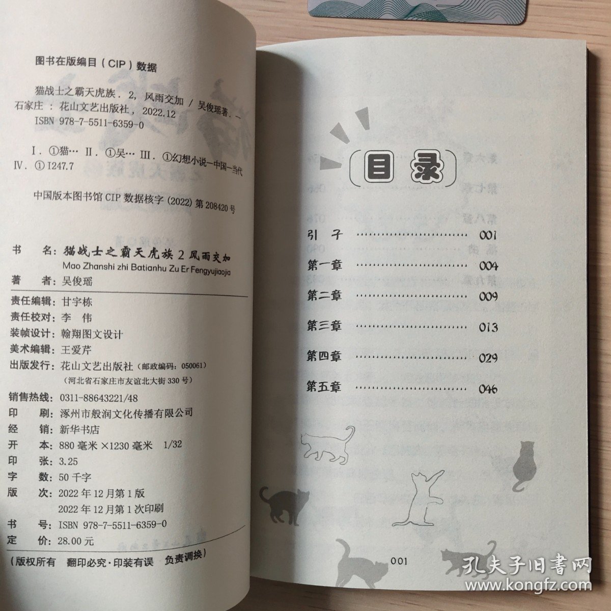 猫战士之霸天虎族2 风雨交加