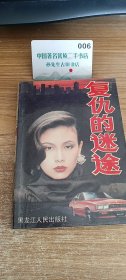 复仇的迷途