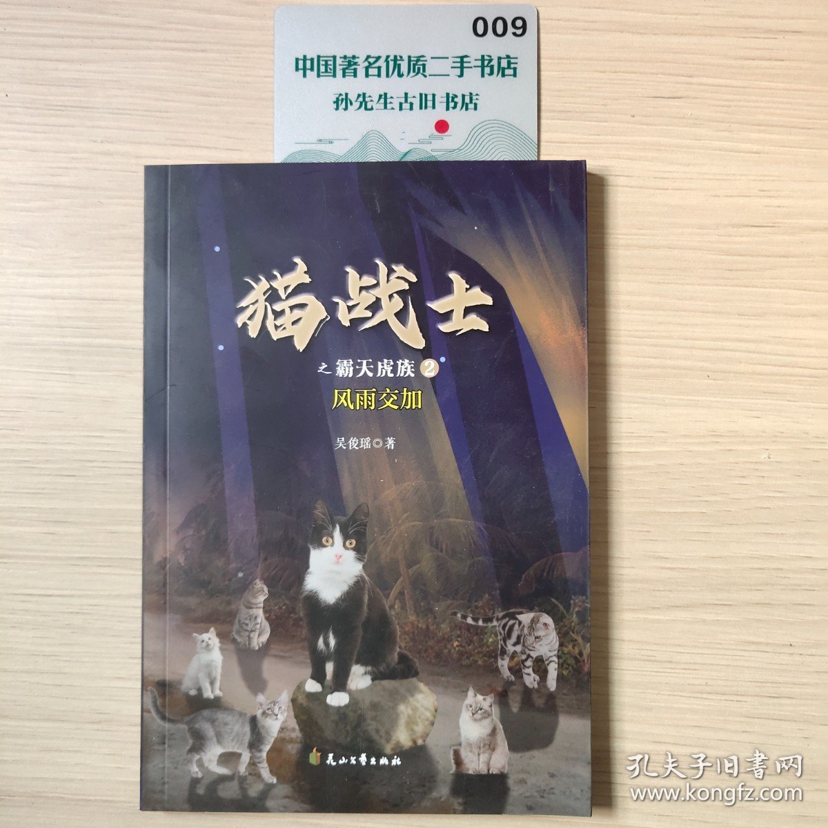 猫战士之霸天虎族2 风雨交加