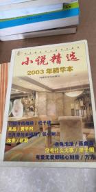 小说精选2003年精华本