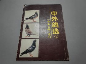 中外鸽选（1）中华信鸽增刊