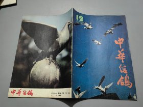 中华信鸽（1988年6月号）第12期