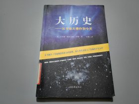 大历史：从宇宙大爆炸到今天