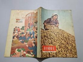 新中国妇女（1955年第12号）