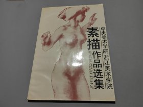 中央美术学院浙江美术学院素描作品选集