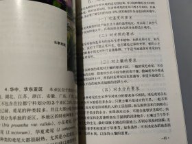 鸢尾欣赏与栽培利用