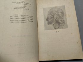 伏尔泰小说选【网格本】