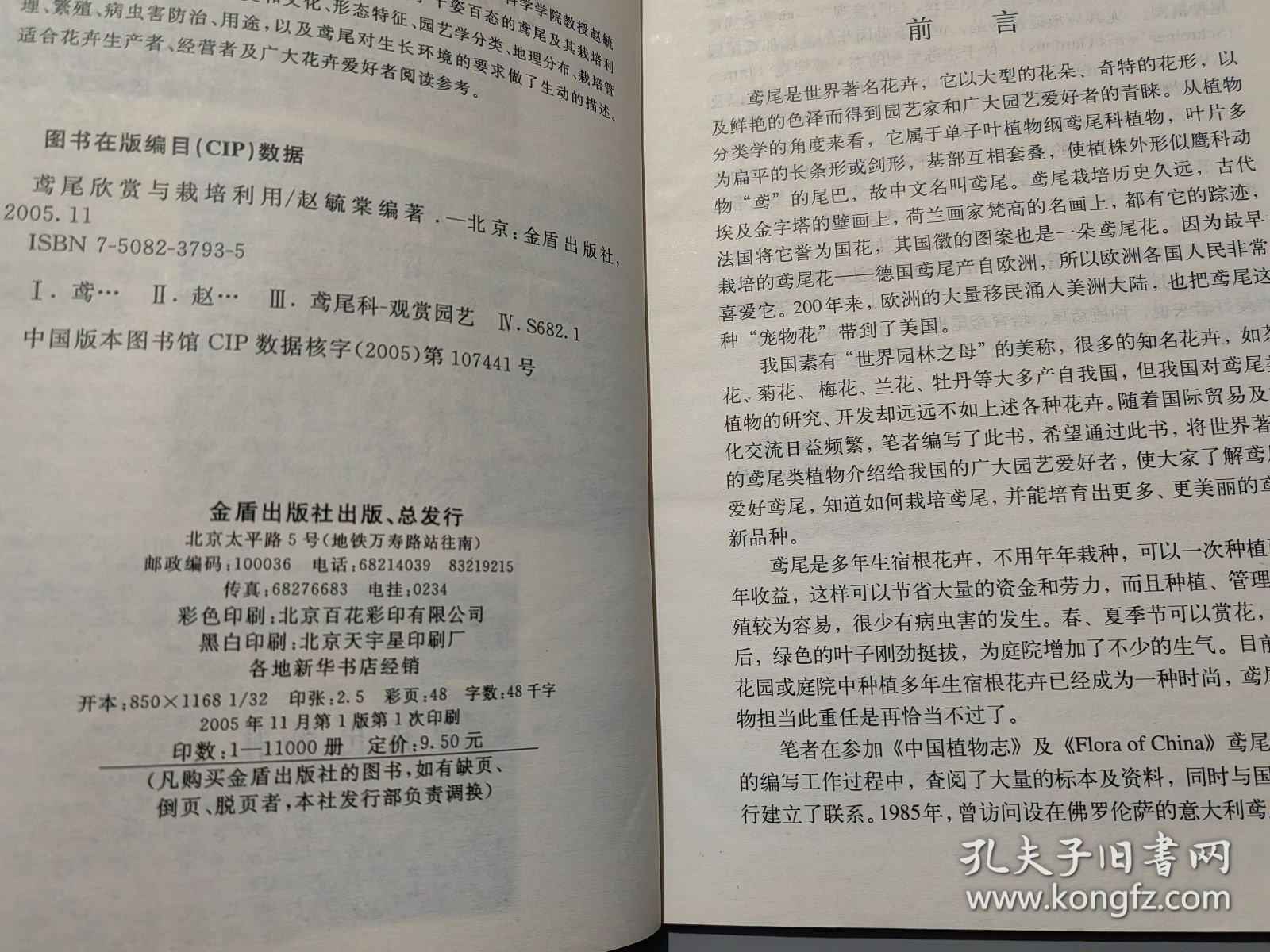鸢尾欣赏与栽培利用