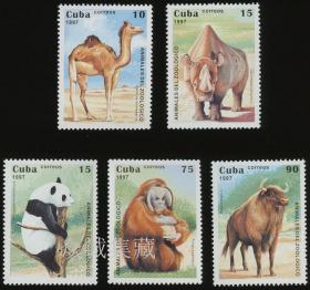 外国 1997年 古巴 野生动物邮票5枚全套 熊猫 骆驼 犀牛