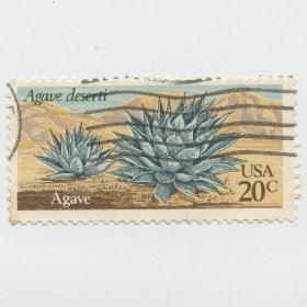 外国 美国邮票 1981年 沙漠植物 龙舌兰属植物 雕刻版 信销 盖销