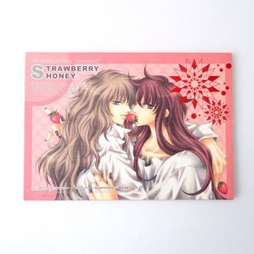 现货 绝版 日文原版 圣斗士星矢 米妙同人漫画 STAWBERRY HONEY 冬子&水合志