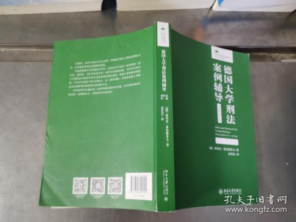 德国大学刑法案例辅导（进阶卷·第二版）