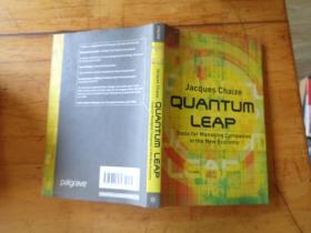 Quantum Leap: Tools for Managing Companies in the New Economy（量子飞跃: 在新经济中管理公司的工具）