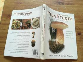 the practical mushroom encyclopedia  （货号b12)