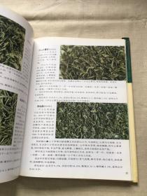 中国名茶图谱（绿茶篇）（货号a106)