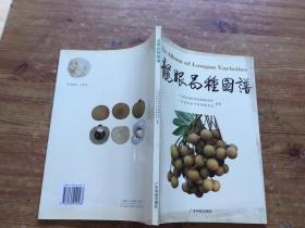 龙眼品种图谱:[中英文本]（货号d235)