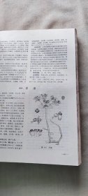 全国中草药汇编 上册   （货号c17)