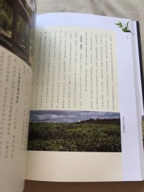 普洱香凝中期茶 精装 开封 （货号d213)