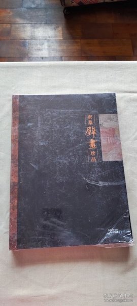 唐墓壁画珍品 未拆封  (货号d205)