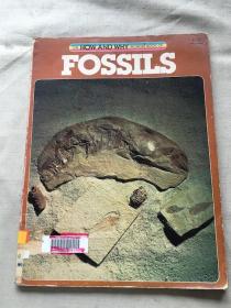 the how and why wonder book of fossils（货号a93)