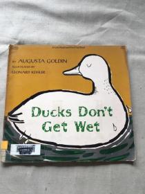 ducks don't get wet （货号a75)