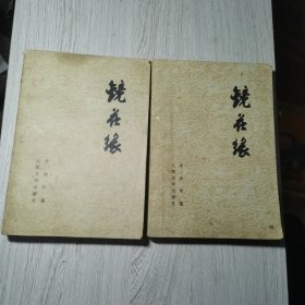 镜花缘(上下)