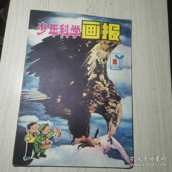 少年科学画报1981年第9期