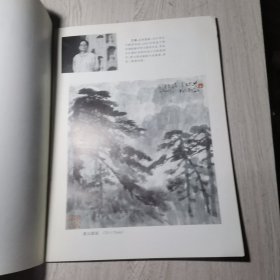 郑州画院作品集分册:王鸿作品选