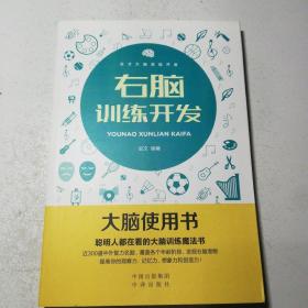 大脑使用书:右脑训练开发