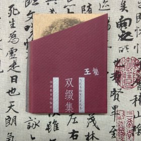 当代书画家艺术丛书 双缀集（精装）（9品新书，非二手旧书）