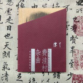 当代书画家艺术丛书 费洼村杂曲（精装）（9品新书，非二手旧书）